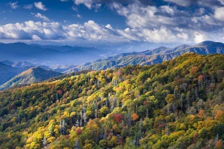 Rocky Top Mountain in the Great Smoky Mountains