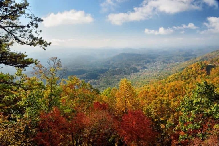 Beautiful autumn leaves in the Smoky Mountains.
