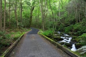 The Roaring Fork Motor Nature Trail in the Great Smoky Mountains.