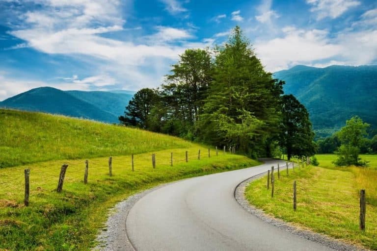A beautiful winding road with mountain views in Cades Cove.