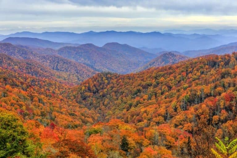 Beautiful fall colors in the Smoky Mountains.