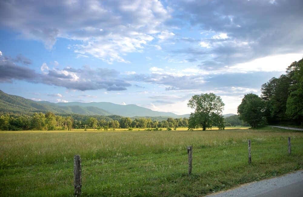 field at sunset cades cove