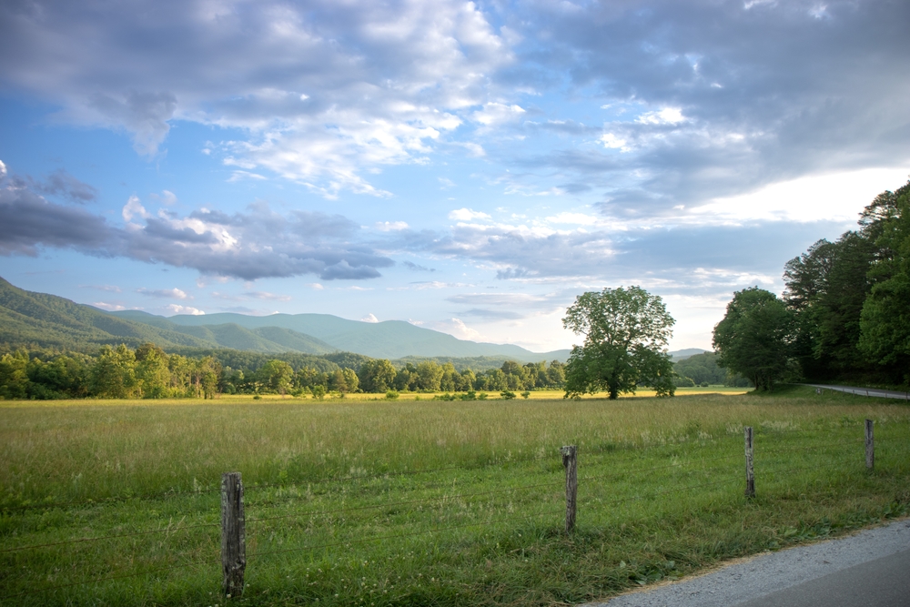 field at sunset cades cove